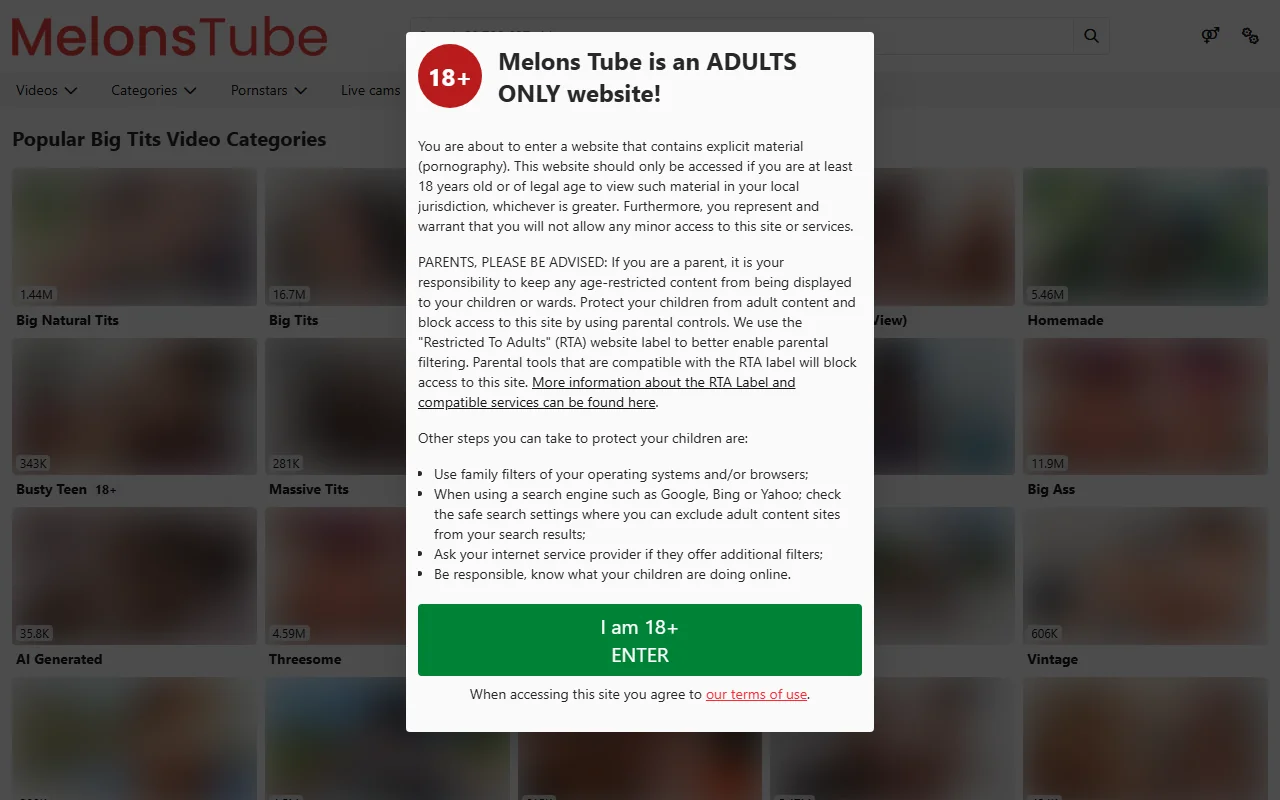 Screenshot of Melonstube